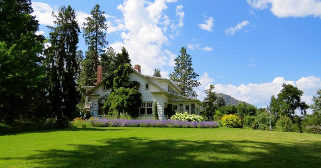 Idyllic countryside house surrounded by lavender and greenery under a bright blue sky.